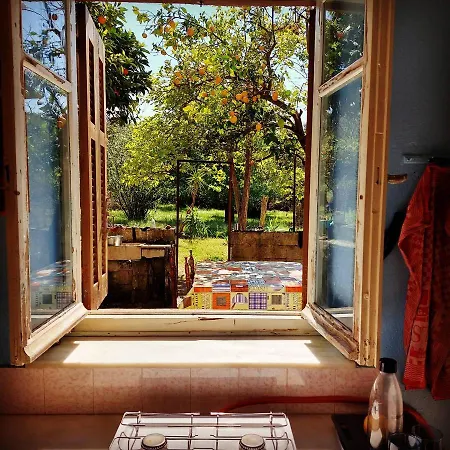Anthea Ecolodge Cort de lux