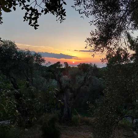 Cort de lux Anthea Ecolodge